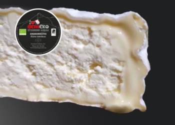 ANDRAMAZTEI (Queso láctico)