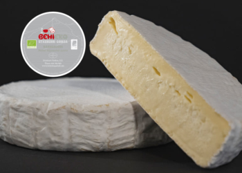 BARRENZURI (Queso blando)